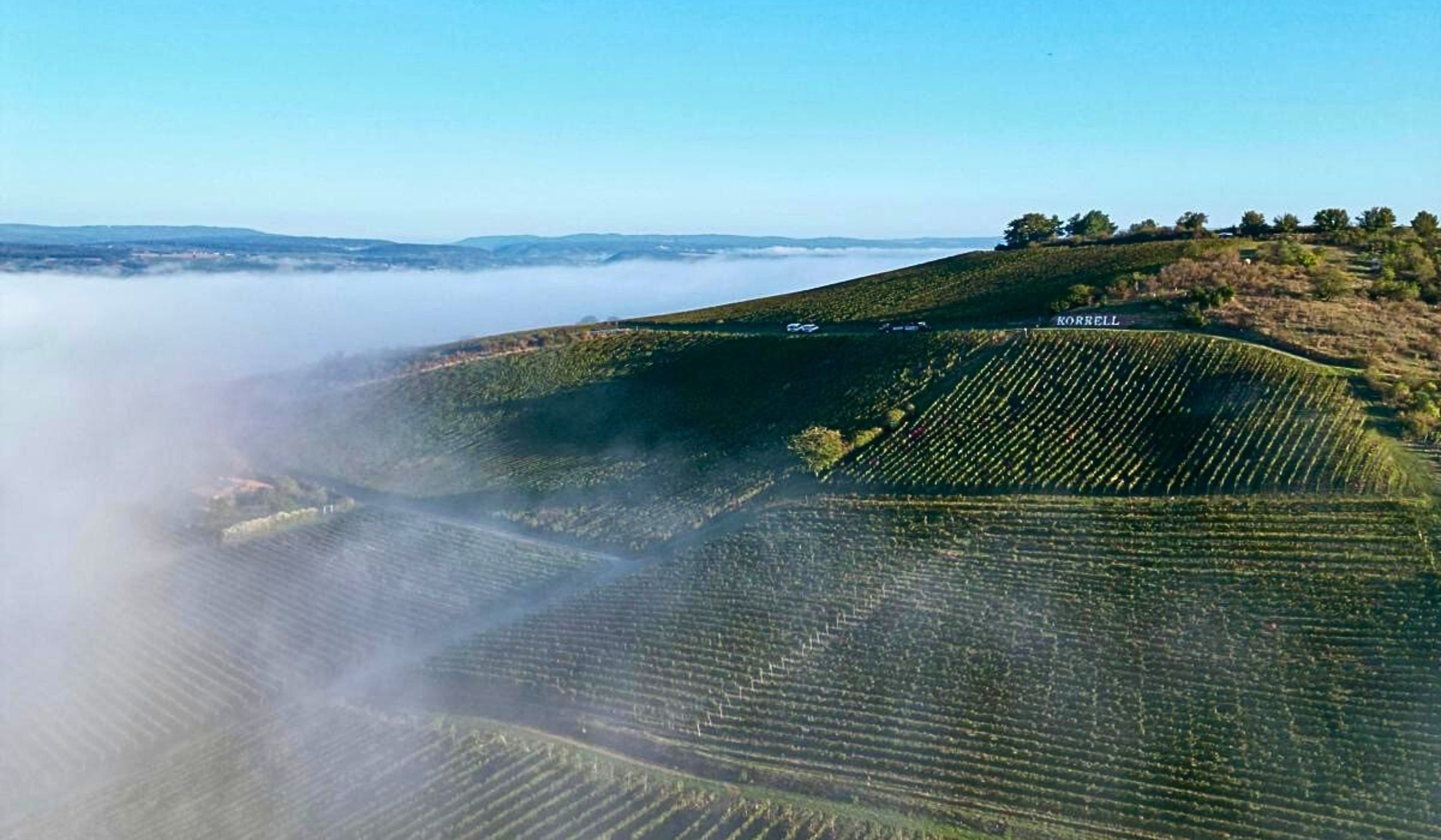 Weingut Korrell