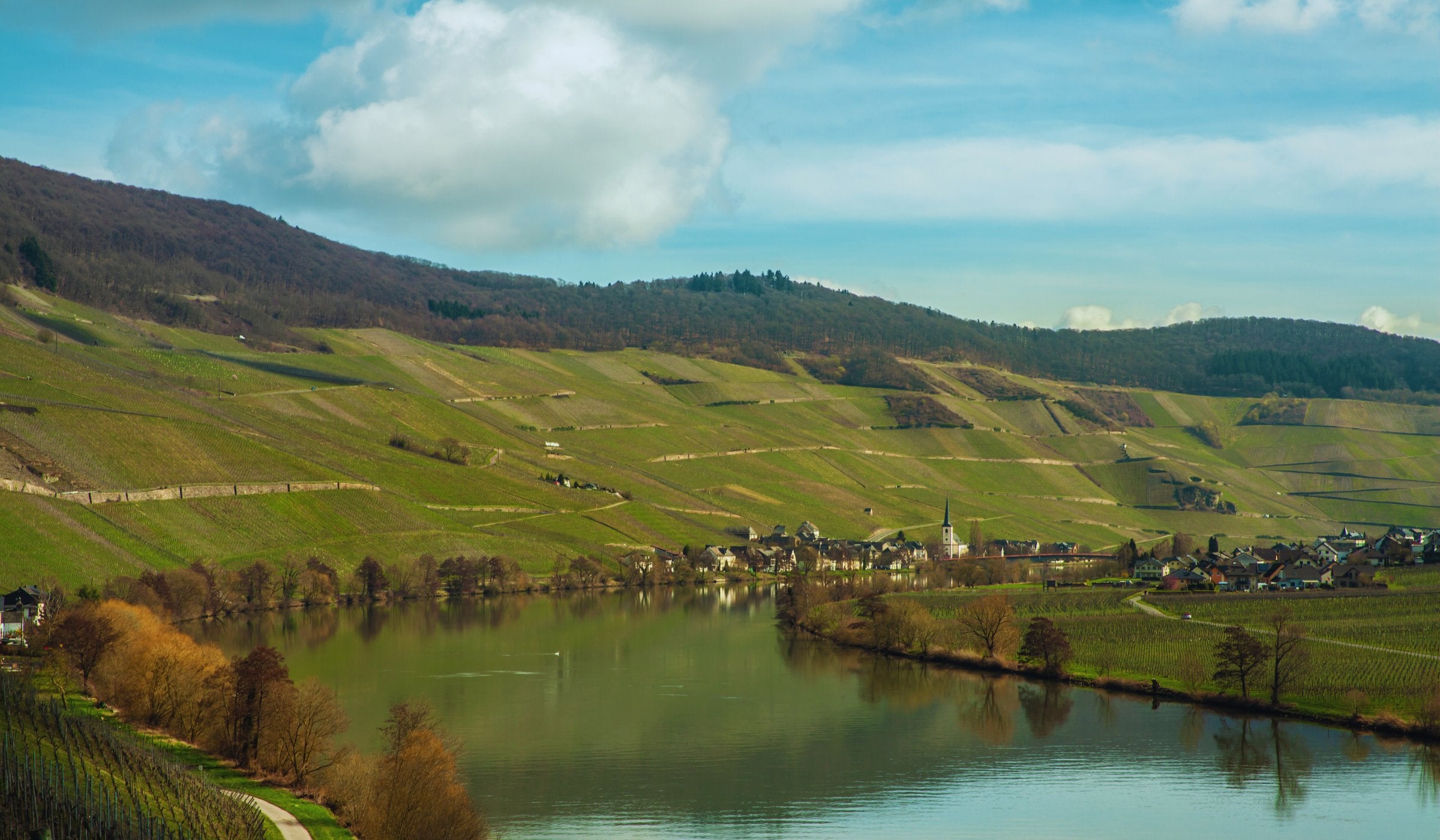 Mosel