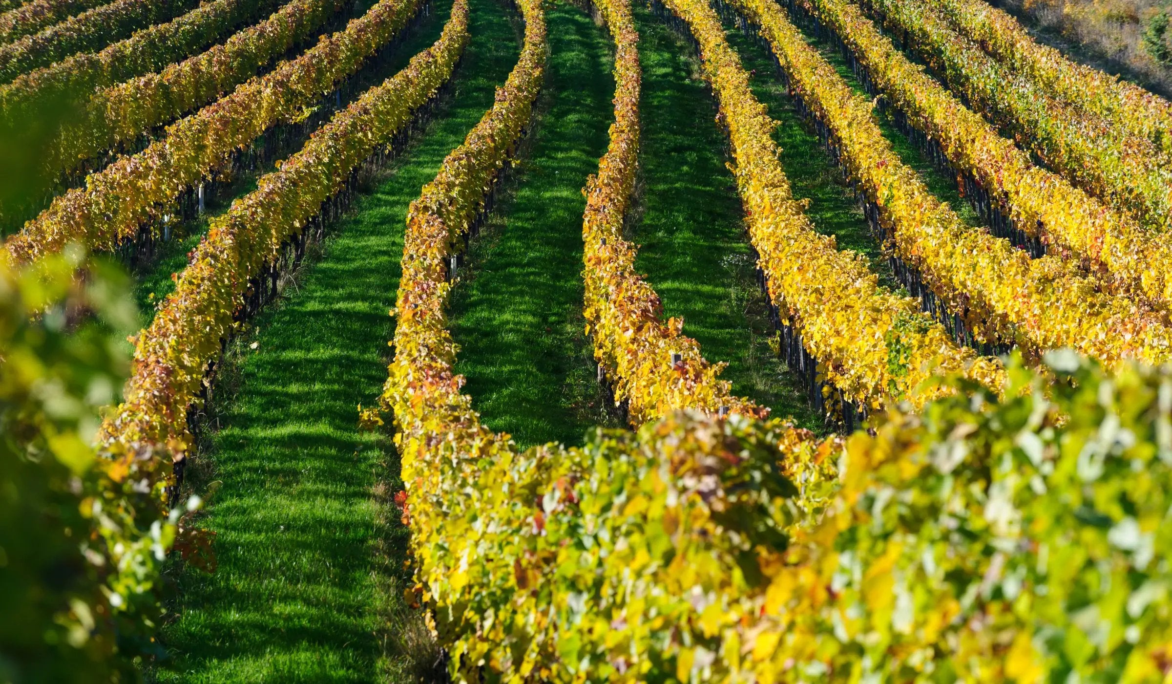 Burgenland