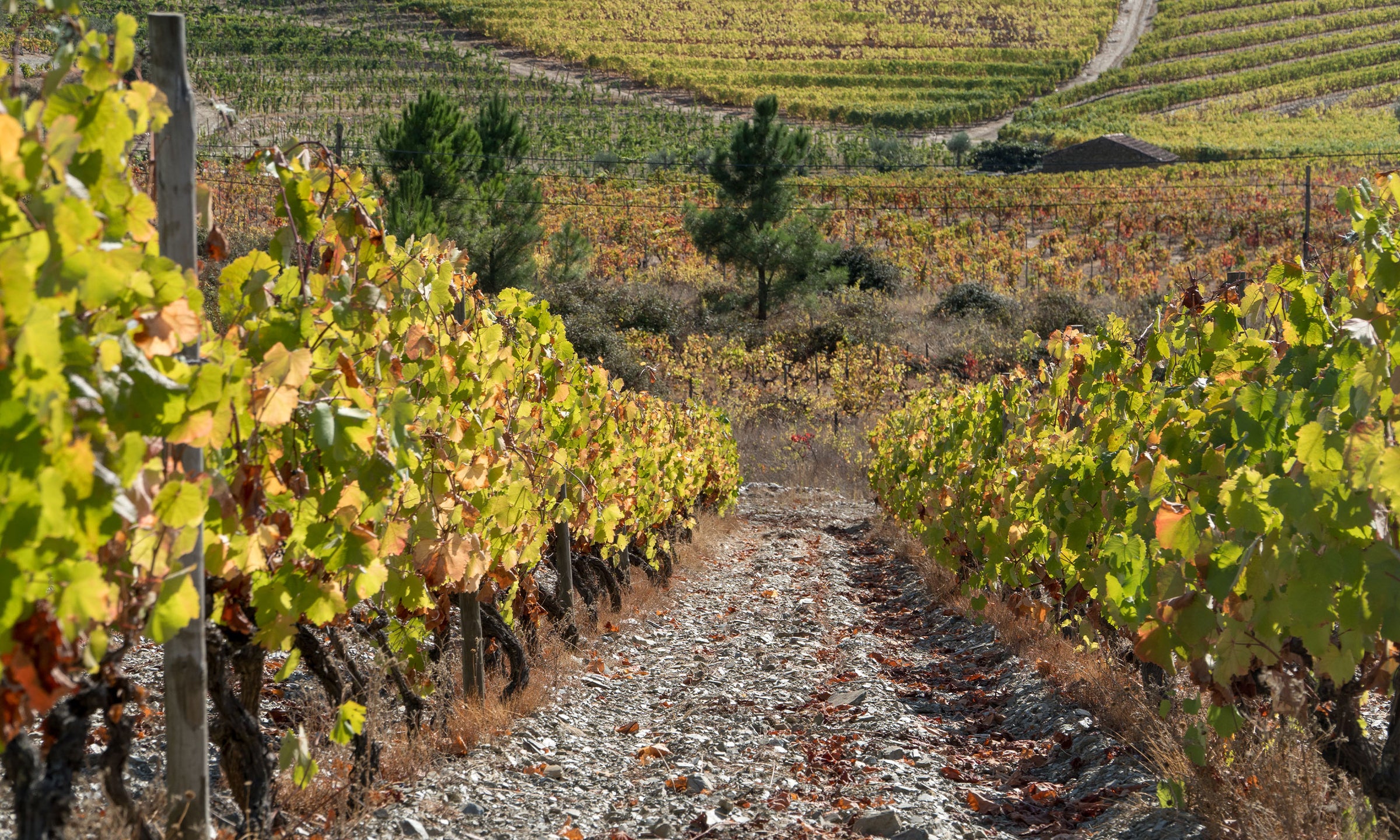 Estremandura, Tejo und Alentejo