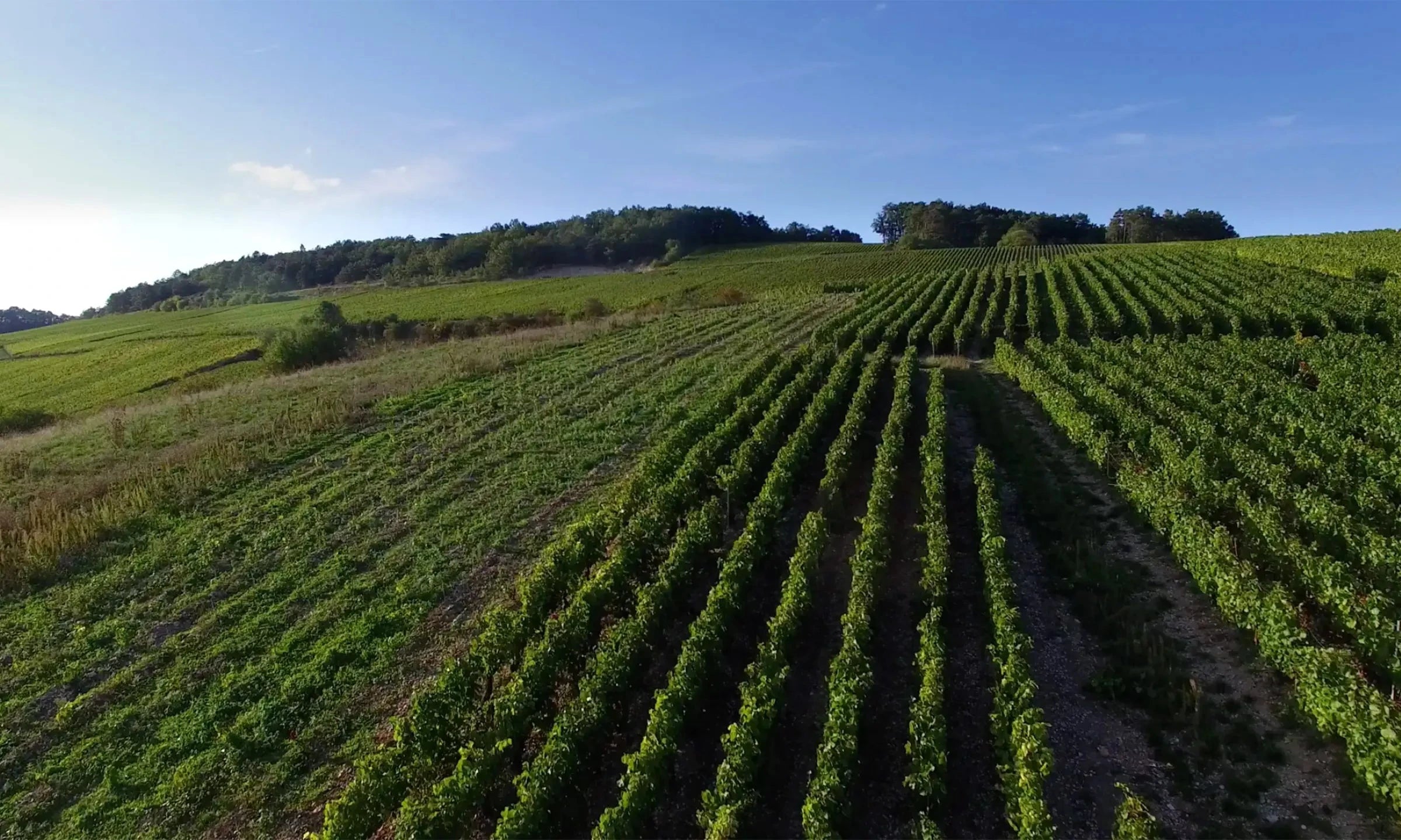 Weingut Waris et Filles