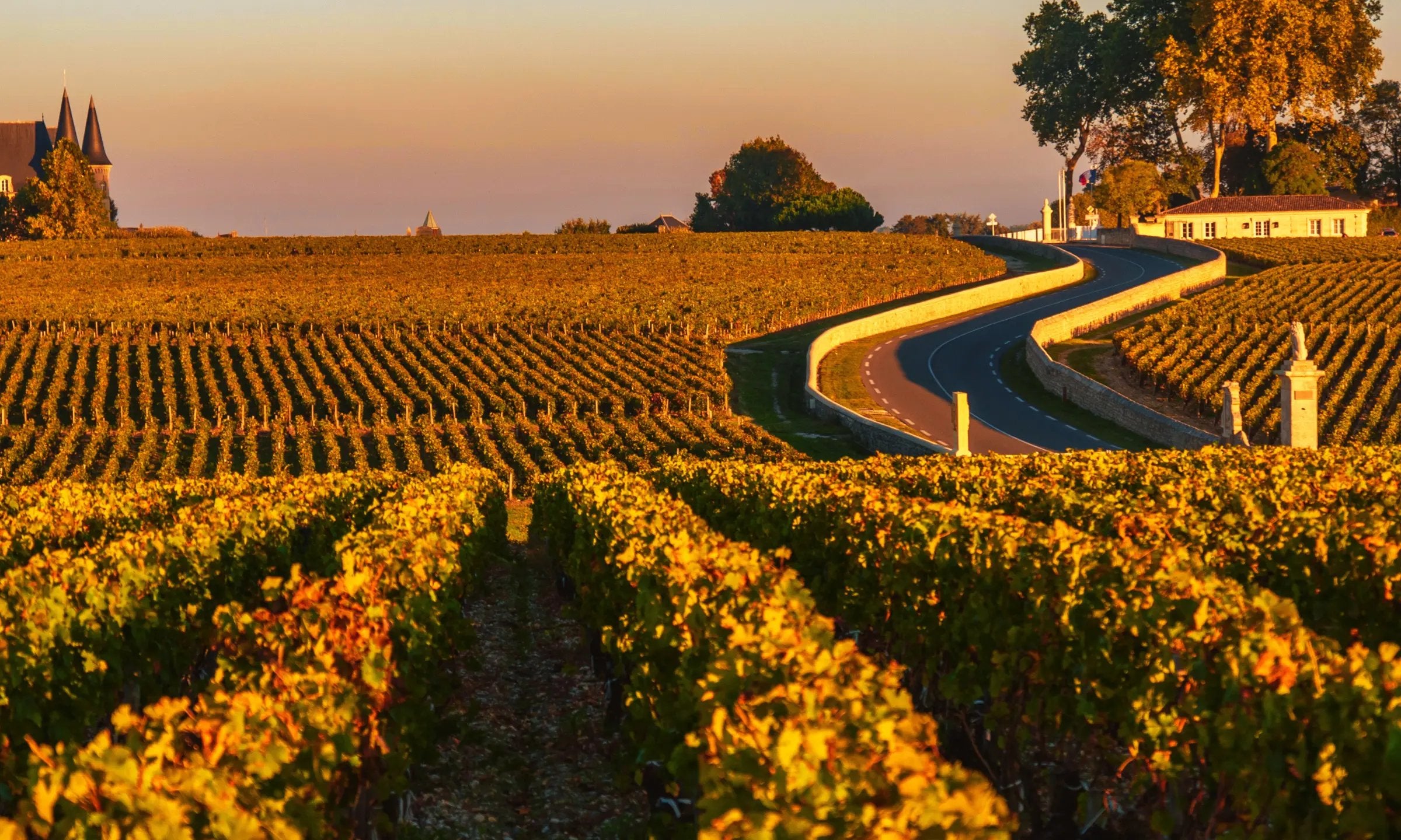 Das Bild zeigt das berühmte Wahrzeichen, den Eiffelturm, in Frankreich und dient als einladender Header für den Weinshop von Hennings Weinwelt.