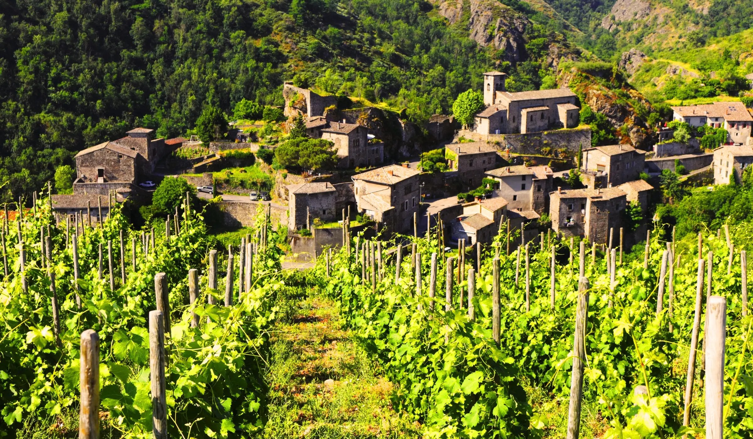 Côtes du Rhône