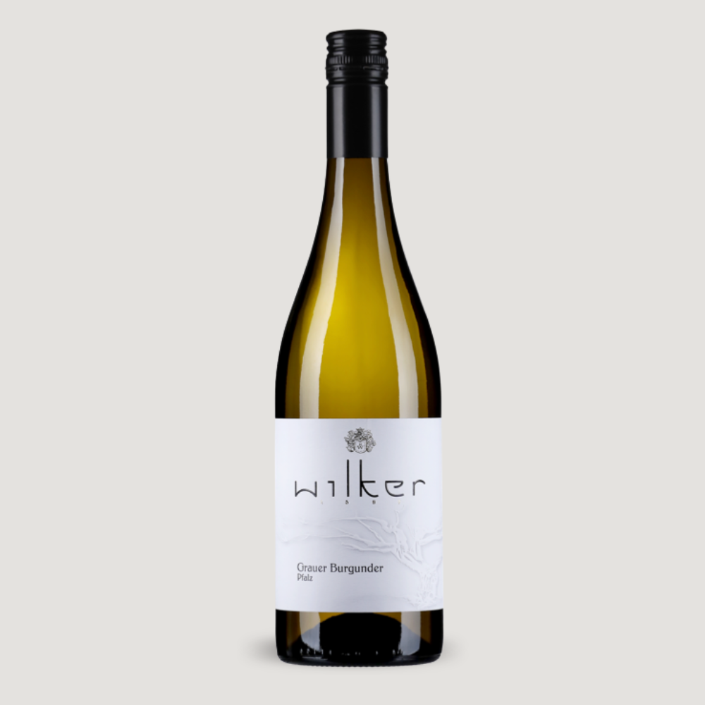 Grauer Burgunder Pfalz